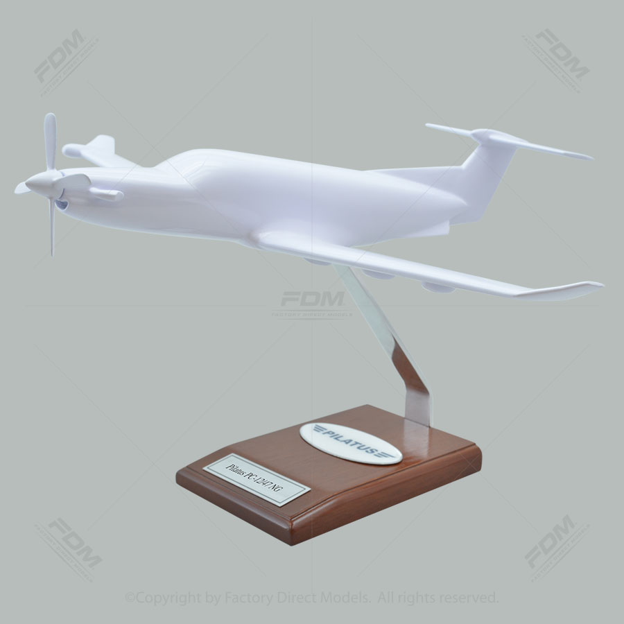 Your Custom Painted Pilatus PC-12/47 NG Scale Model Your Custom Painted Pilatus PC-12/47 NG Scale Model