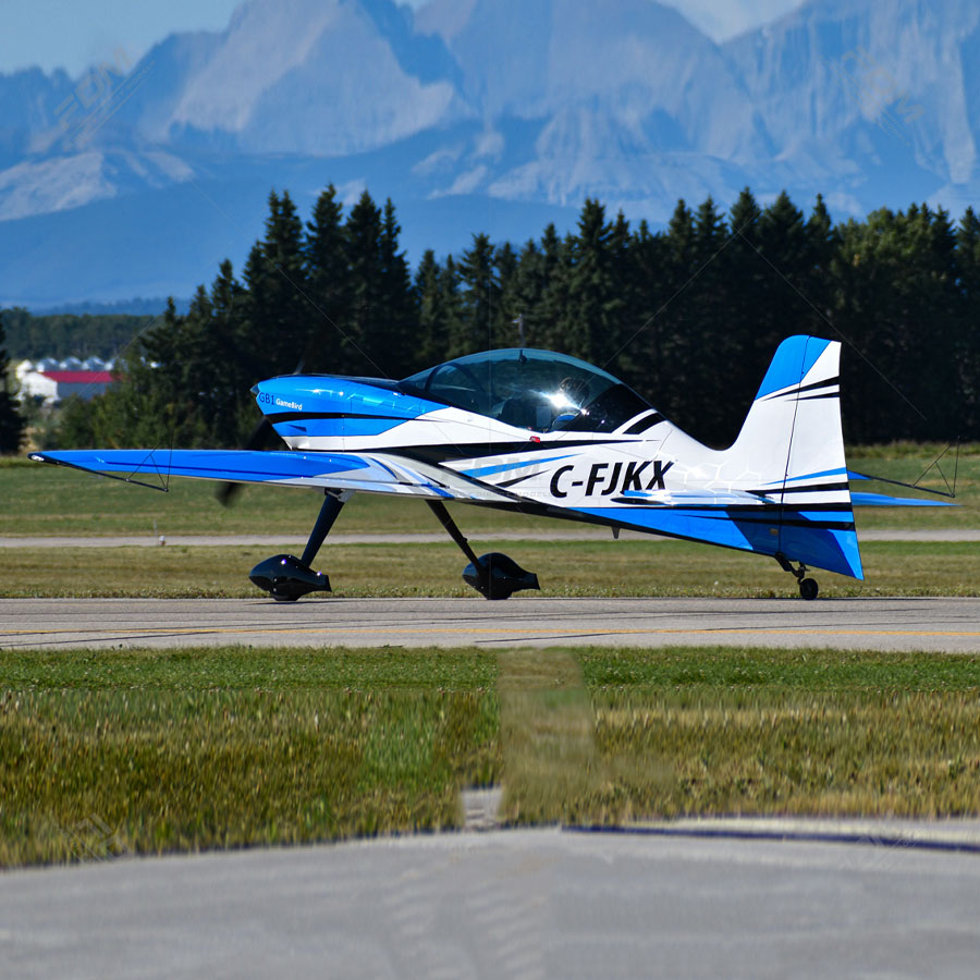 CustomBuilt Game GB1 GameBird Model Factory Direct Models